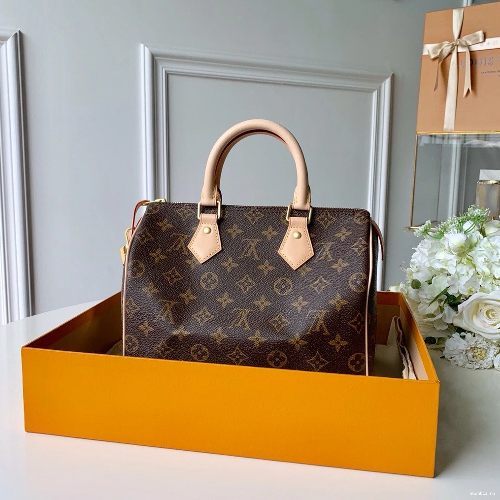 WIS SPEEDY Louis Vuitton 25 0114
